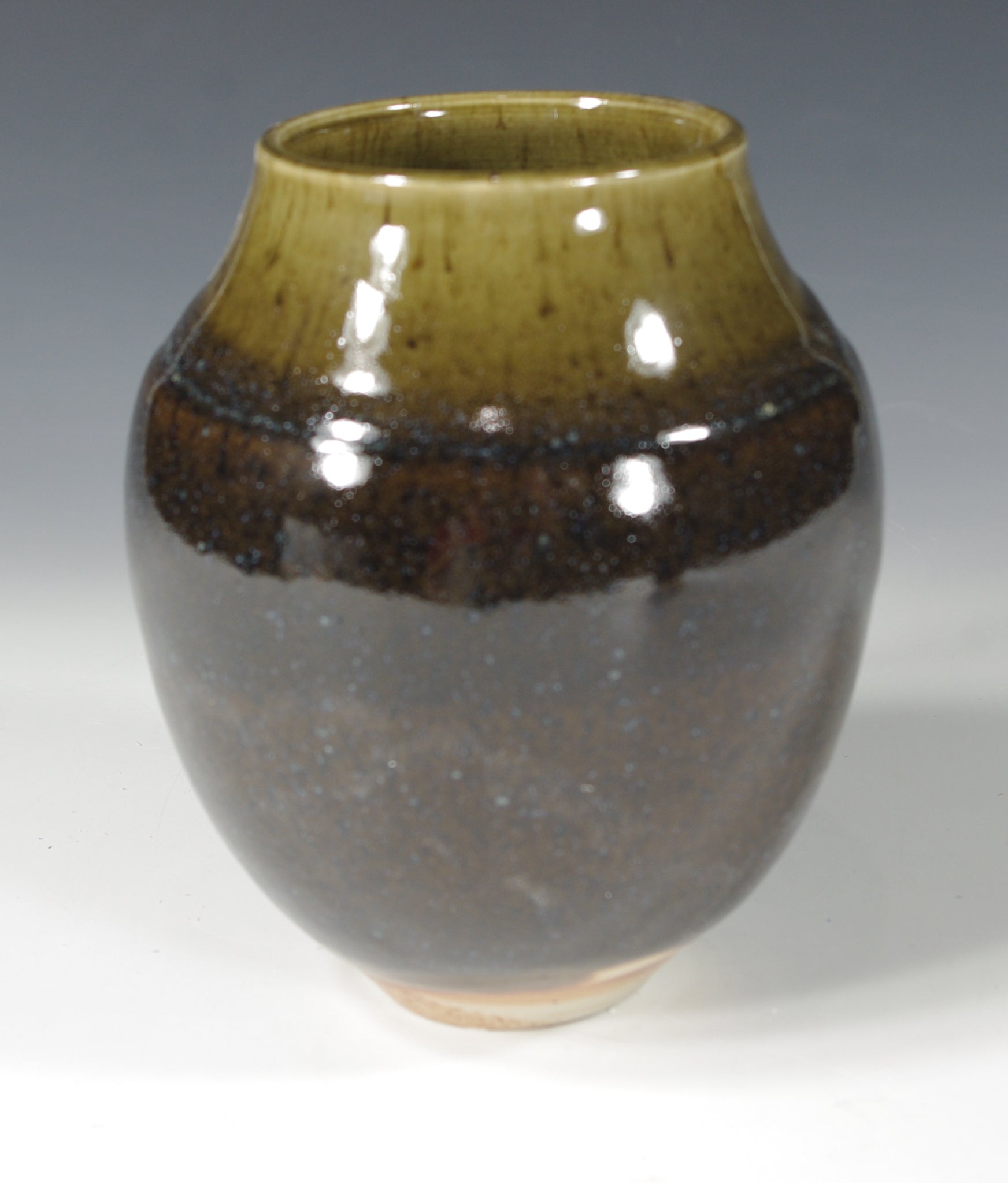 Blue Brown Vase #3 - Skip Bleecker
