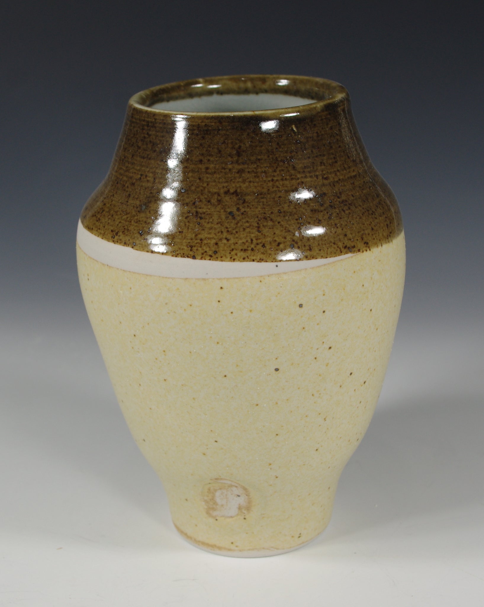 Dual Color Vase #2 - Skip Bleecker