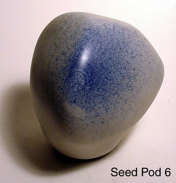 Seed Pod 6 - Skip Bleecker